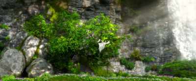 Even if you do find him, he
may not be how you remember. - White Snake