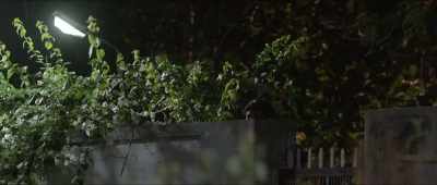 Even if you find a way... - Kavaludaari