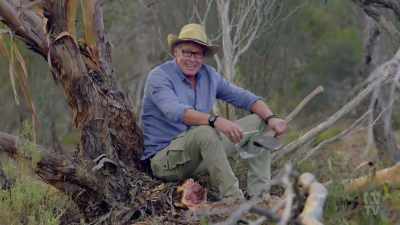 ..even after you've managed
to cut all this down, - Aussie Inventions That Changed The World