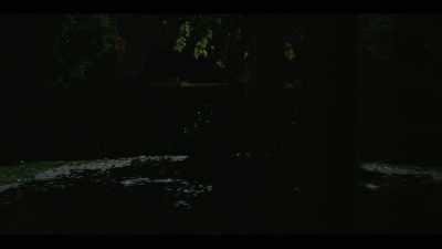 Eventually,
after about 40 minutes - I'll Be Gone in the Dark