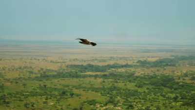 Eventually, we all learn to find
our place in this land. - Serengeti