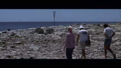 Eventually, Peter did listen. - Playing with Sharks