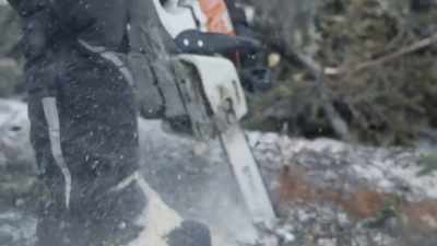 Eventually, we're gonna start
building houses and cabins, - Life Below Zero: First Alaskans