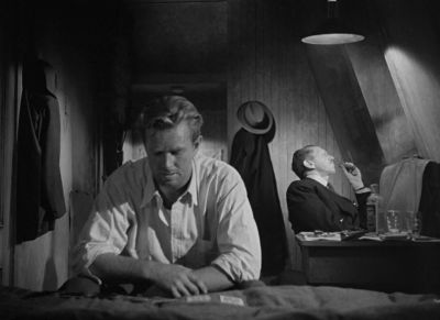 Ever been in Mexico City - The Asphalt Jungle