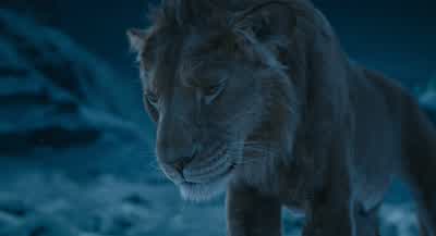 Ever since you appearedI've been running from something deep insideAnd it's worse than I feared'Cause I look in your eyes and I can't hideI push you away Don't push me awayBut the feelings come back just twice as strongI don't know what to say You know - Mufasa: The Lion King