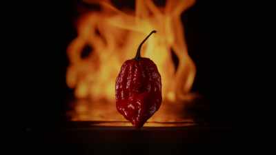 Ever since we began
this journey into superhot, - Superhot: The Spicy World of Pepper People