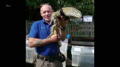 'Ever since he had bought him - Britain's Tiger Kings - On the Trail with Ross Kemp