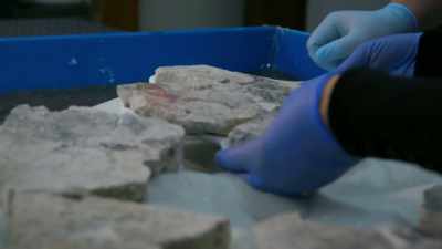 Ever since, Heather
and David have been
slowly piecing together - Lost Treasures of the Maya
