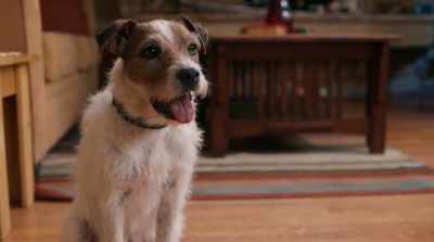 Ever since Victor betrayed
Corwin and got him fired,
things were different. - Pups Alone