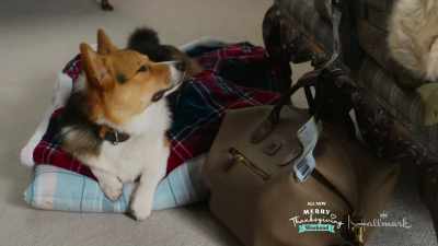 [Everett chuckles] - A Royal Corgi Christmas