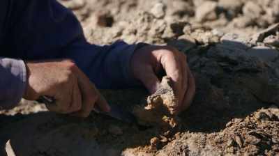 EVERY BONE THAT WE FIND
INCREASES THE VALUE. - Dino Hunters