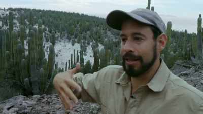 Every cactus you see there, - The Green Planet