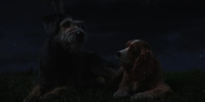 Every day could be an adventure - Lady and the Tramp