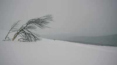 Every diary entry, every
glance and every photo - An Unknown Compelling Force