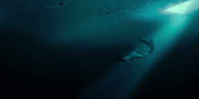 Every dive, - Human Playground