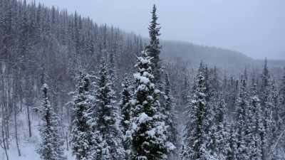 Every once in a while we get
a big wind storm that comes - Life Below Zero: Next Generation