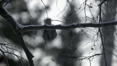 Every once in a while, when
I'’m walking around out here, - Life Below Zero: Next Generation