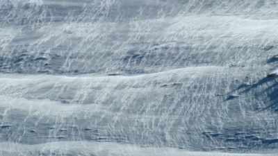 Every living thing
in Yellowstone spends - Yellowstone: One-Fifty