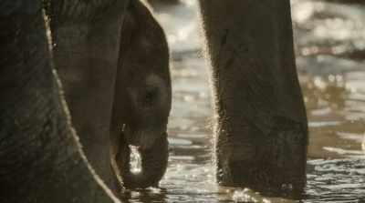 Every muddy drop
is a lifesaver. - Surviving Paradise: A Family Tale
