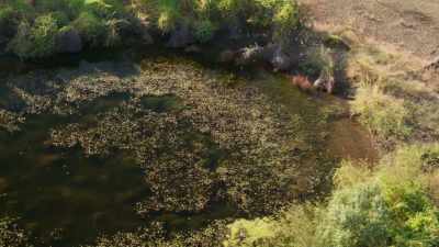 Every one of them is thirsty. - Seven Worlds, One Planet