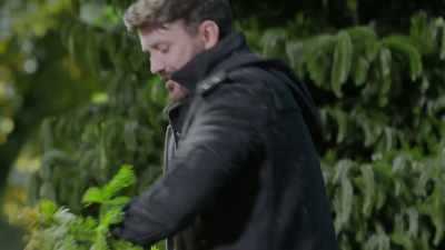 Every plant, every tree that
I cut down, if you nurture it, - A Merry Scottish Christmas