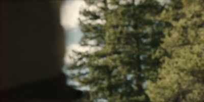Every predator for miles smells that blood. - Togo