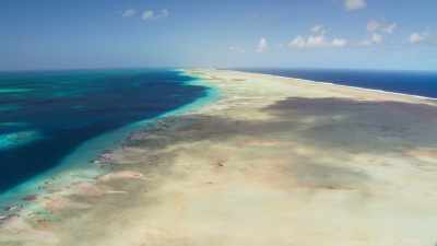 Every reef
has a sharply defined boundary. - Blue Planet II