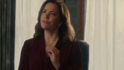 - Every royal must
have a mission, - Private Princess Christmas