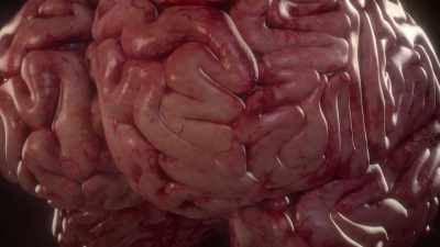 Every single neuron in the brain - Human: The World Within