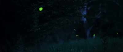 Every single point of light
that you see out there is a firefly. - Alien Worlds