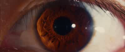 IAN Every living person on this planet has their own unique pair of eyesEach their own universeTYPINGMy name is Dr Ian Gray BEEPSI'm a father a husbandand I'm a scientistWhen I was a child I realized thatthe camera was designed exactly like the human - I Origins