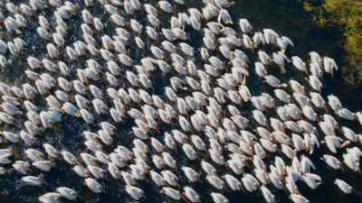 Every summer, three-quarters
of the world's population - Seven Worlds, One Planet