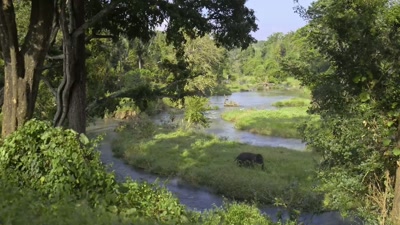 Every time I see Raghu, I feel great joy. - The Elephant Whisperers