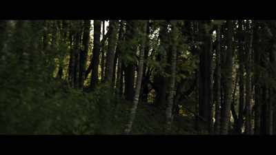 Every time I stopped for
a second to take a breath - Sasquatch