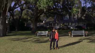   - Every time I think about
  you, I get butterflies. - Love Takes Flight