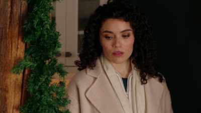Every time it was someone's
birthday, - Planes, Trains, and Christmas Trees