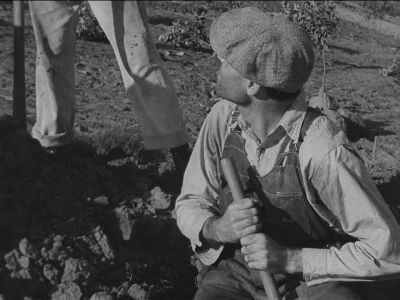 Every time ya turn around - The Grapes of Wrath
