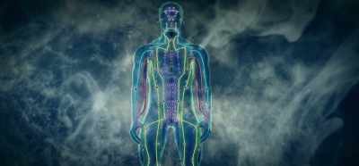 Every tooth connects up
energetically through - Root Cause