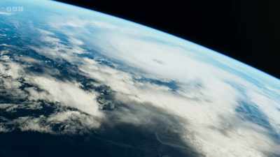 Every winter, a warm ocean
current, the gulf stream, - Wild Isles