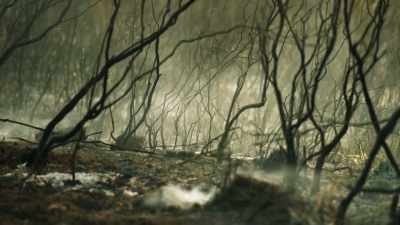 Every year is getting hotter
and potentially drier. - The Green Planet