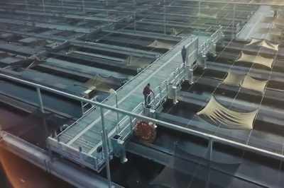 Every year, Idaho Power
partners with other biologists - Artifishal