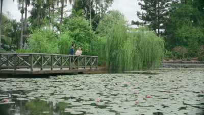 Every year
they had way too many, - When Love Springs