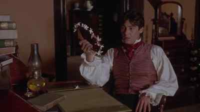 Everybody, back to work! - Wide Sargasso Sea