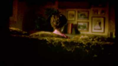 Everybody else went to bed, - Abducted in Plain Sight