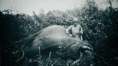 Everybody was following him, - Theodore Roosevelt