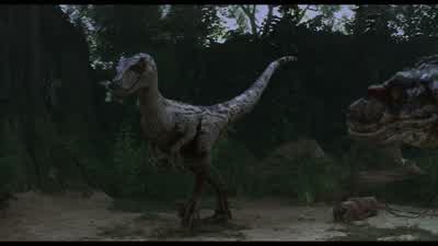 Everybody get down. - Jurassic Park III