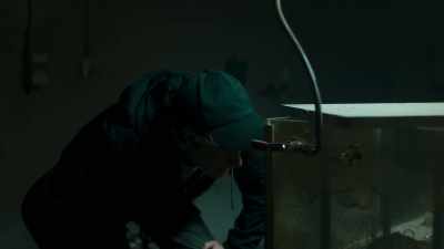 Everybody I've ever
known is gonna die - Dystopia