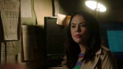'Everybody knew them.' - Pretty Little Liars: The Perfectionists