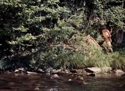 Everybody take cover. Take cover, men. - Davy Crockett: King of the Wild Frontier