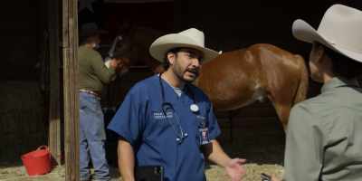 Everybody wants to know
what happened to Texas Nightshade, - Walker